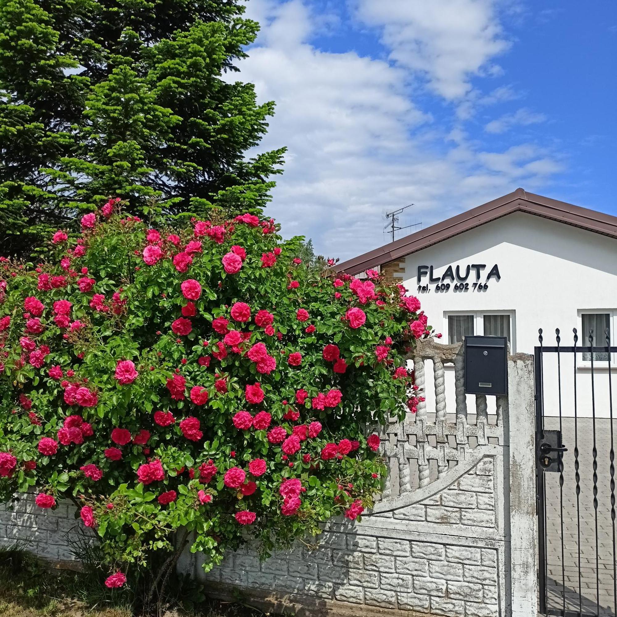 Flauta Apartamenty Rodzinne 미엘렌코 외부 사진